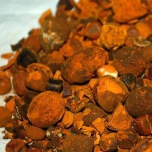 Ox Gallstones Cattle Gallstones Cow Gallstones