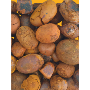 Quality Dried Cow Ox Gallstones | Cattle Gallstones| Cow Gallstones and Bezoar