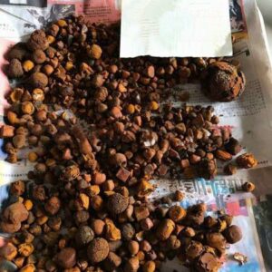 Grade AA Ox Gallstones | Cattle Gallstones | Cow Gallstones For Sale