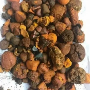 High Quality Cow Ox Gallstone