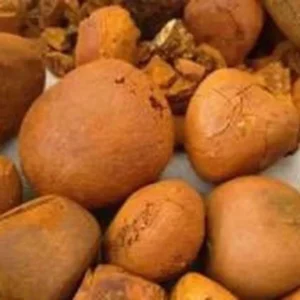 Brown Iso Certified Ox Gallstones