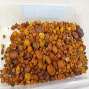 Ox Gallstones Cattle Gallstones at affordable price