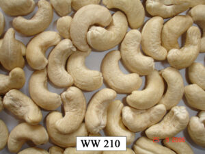 Cashew nut WW210