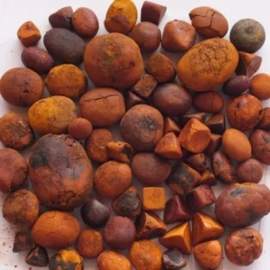 Cheapest Price Ox Cow Gallstone