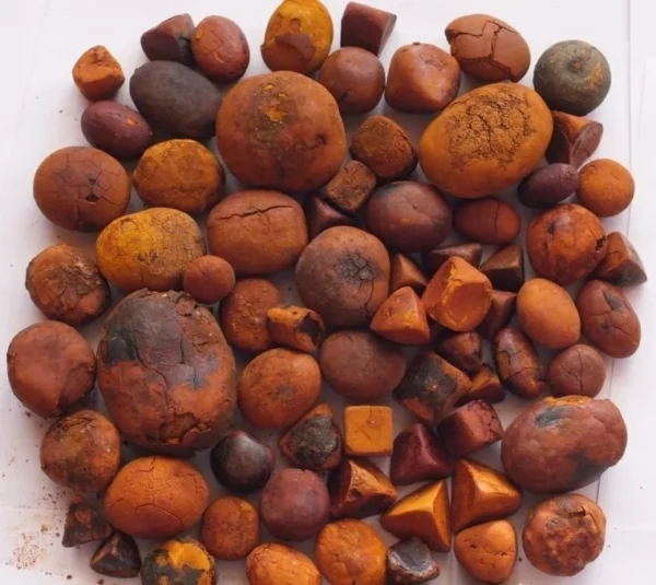 Cheapest Price Ox Cow Gallstone