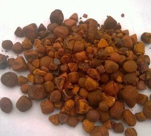 Tanazanian Ox Gallstone