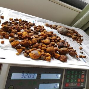 100% Natural Ox Gallstones/Cattle Gallstones/ Cow Gallstones