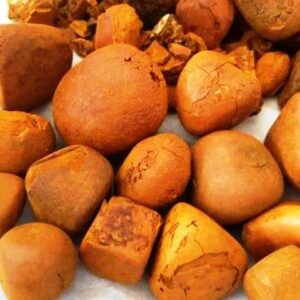 Export 100% Natural Top Quality Ox Gallstones Cattle Gallstones Buy Cow Gallstones