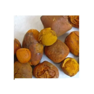 Super quality Ox Gallstone Wholesale High manufacturer new Best material With cheap rate