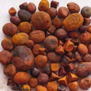 Ox Gallstones Cattle Gallstones Cow Gallstones