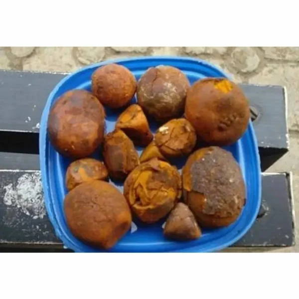 Affordable Cow Ox Gallstones for sale - Image 4