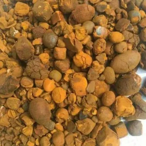 Premium quality ox gallstones for sale