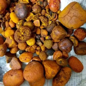 Ox Gallstones Cow Gallstones Cattle Gallstones For Sale