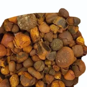 Ox Gallstone for sale with fast shipping