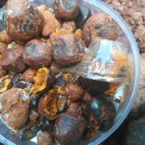 Ox Gallstone wholesale distribution from east africa