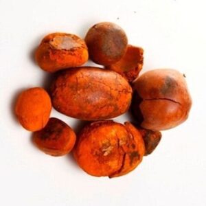 Wholesale Natural and Pure top Quality Ox Gallstones Cattle Gallstones Cow Gallstones Buy Cow Gall Stones for sale