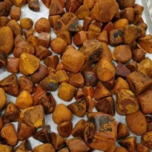 Yellow Golden And Organa Color Cattle Gallstones