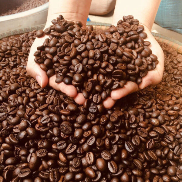 OEM NATURAL ROBUSTA ARABICA ROASTED COFFEE BEANS