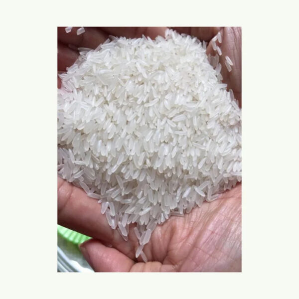 Jasmine Long Grain White Rice 100% Clean All Quality Rice Brands Reasonable Price Medium-Grain White Rice