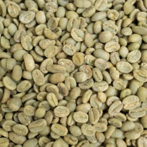 Premium Organic Vietnamese Robusta Green Coffee Beans Whole Pattern Roasted and Raw Processing Bulk Packaged