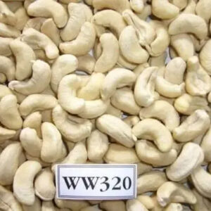 Tanzania Raw Cashew Nuts Cashew Nuts in Shell