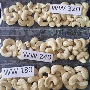 Processed Cashew Nuts W320 and W240 Cashew kernel