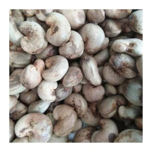 2024 Wholesale Raw Cashew Nuts In Shell / Cashew Nut In Shell