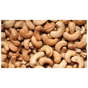 Cashew Nut Kernels W240/W320/Splits and /High quality Cashew Kernels Wholesaler OEM Food Grade SW 320 Cashew Nut Supplier