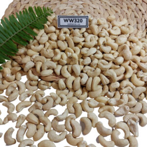 Hot Sale 2024 Cashew Nuts W320 Kaju Badam Snack Raw Cashew Nuts Vietnam Kernels Nuts W320 W240