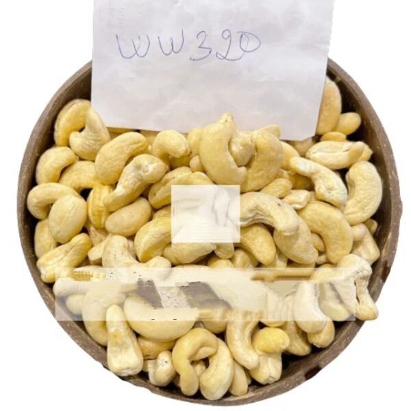 Vietnam cashew nut kernel supplier cashew w 320 w240 w180 roasted cashew nuts