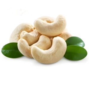 Raw Cashew Need WW240 WW320 WW450 Cashew Nut Price In China