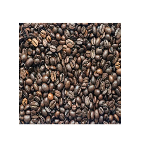 Wholesale Brazilian High Quality Green Beans Coffee With Best Price For Import Good Quality Raw Coffee Beans