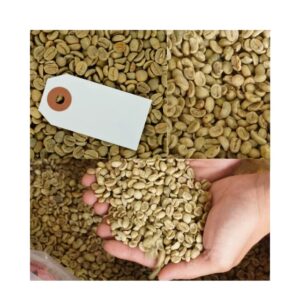 Aromatic Robusta Coffee Beans Vietnam Green Coffee Beans Made in Vietnam Bean ISO22000 2025 High Quality 18 Drink Premium Grade