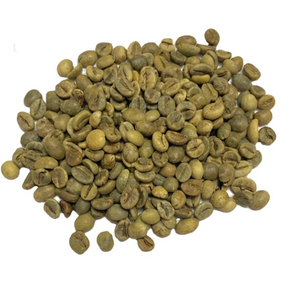 Free sample top quality green beans coffee Robusta/Arabica Green Coffee Beans from Reliable Vietnam Supplier