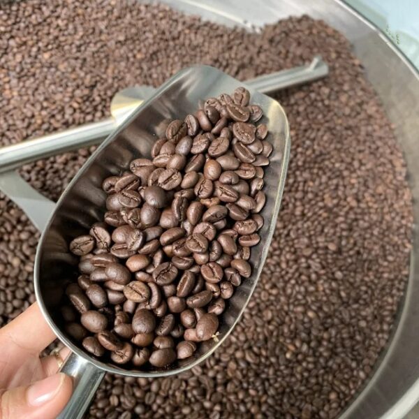 Good price Roasted coffee beans Viet Nam coffee 100% Pure Robusta 0.25kg Medium Roasted Chocolate Accept OEM FRESH COFFEE