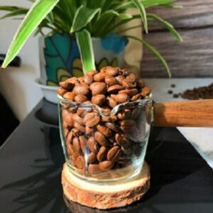 Arabica roasted coffee beans specialty coffee - delicious product origin arabica coffee beans from Son la vietnam