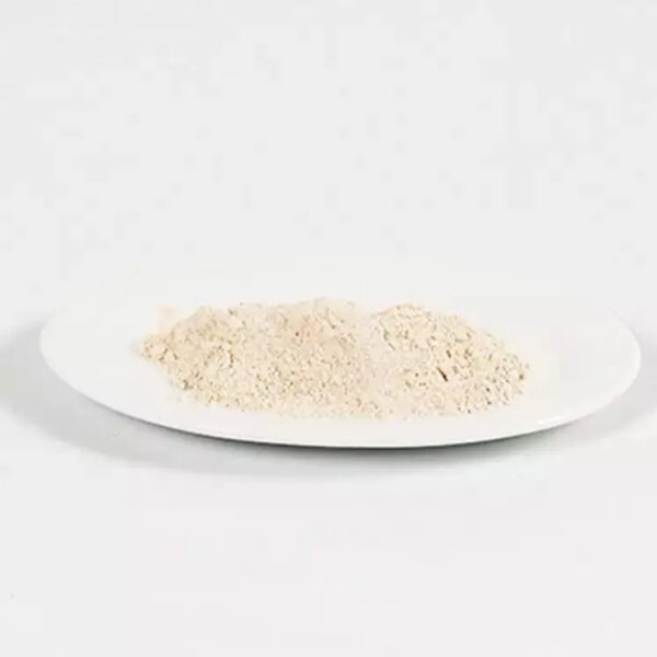 Rice gluten meal replacing portions of expensive soybean meal Rice gluten meal contains an above average amino acid Rice Protein