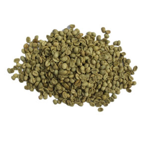 Hot Selling Robusta Green Coffee Beans Vietnam Origin High Quality Reasonable Price