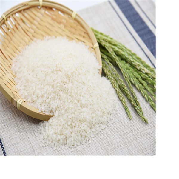 Cheap Quality Basmati Rice wholesale /Brown Long Grain 5% Broken White Rice