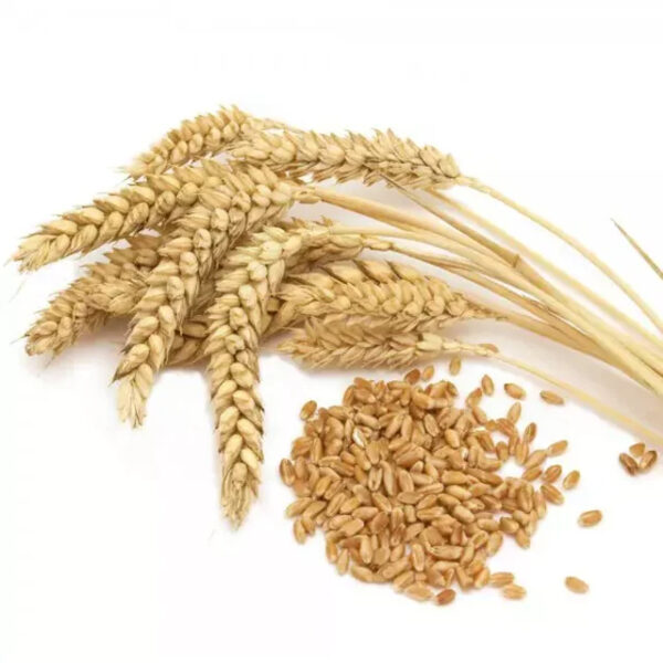 Top Quality Rice Bran 25kg packaging for sale in cheap price ready to Export globally - Image 2