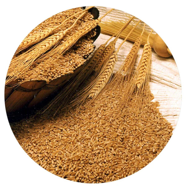 Rice Bran Natural Bran For Use As Animal Feed At Farms Best Quality Wholesale Good Price Made From Vietnam - Image 2