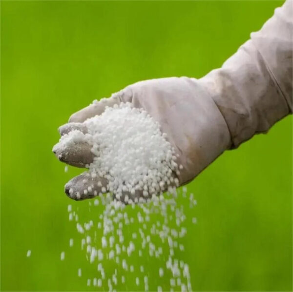 Vehicle/Fertilizer Urea 46 Granular Prilled Price 50kg/1000kg bag - Image 2