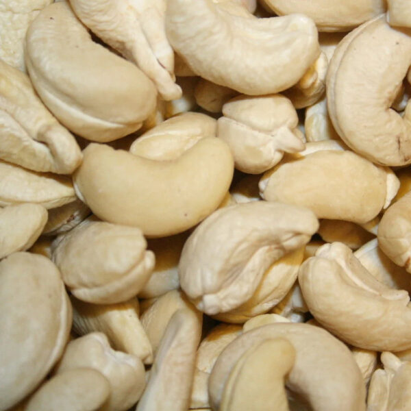 Raw / Salted Roasted Cashew Nuts W180 W210 W240 W320 W450 - Image 2