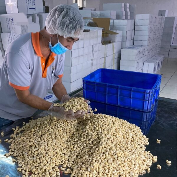 Raw Cashew Nuts OEM Organic Nuts Using For Food Cashew Kernels best quality WW320 WW180 LP SP Cashew Nuts - Image 2