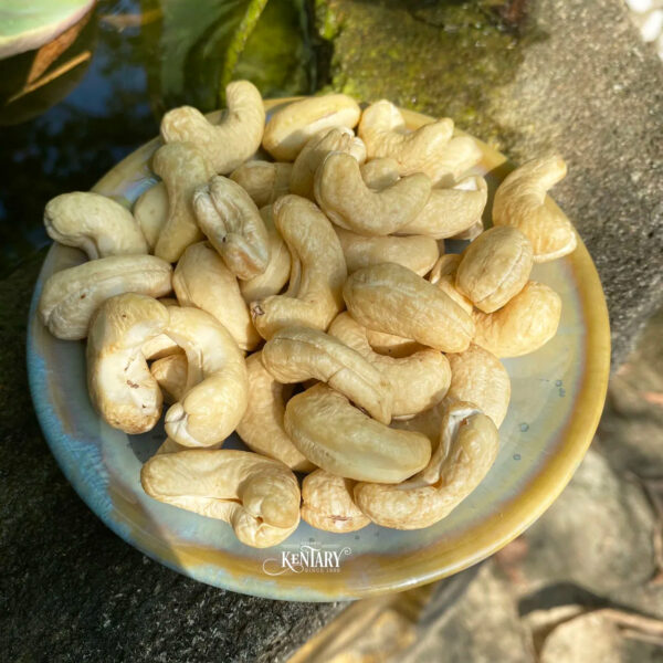 Bulk Vietnam Raw Whole Cashew Nuts W240 Best Quality Best Price Factory in Vietnam 100% Natural For Wholesale - Image 2