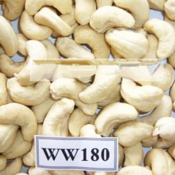 Vietnam cashew nut kernel supplier cashew w 320 w240 w180 roasted cashew nuts - Image 2