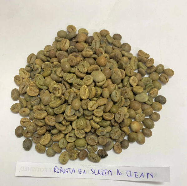 Free sample top quality green beans coffee Robusta/Arabica Green Coffee Beans from Reliable Vietnam Supplier - Image 2