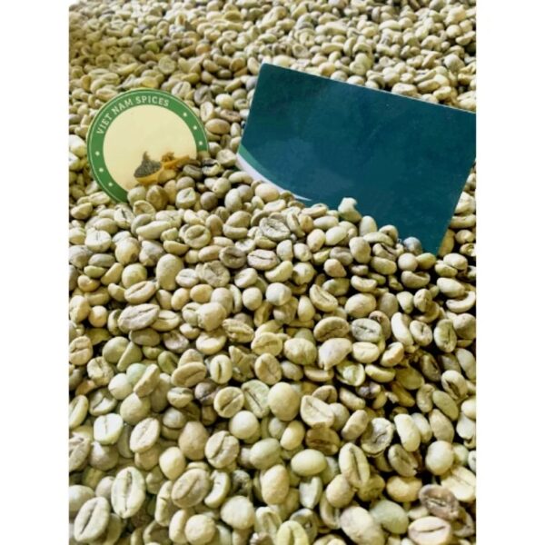 Hot Selling Robusta Green Coffee Beans Vietnam Origin High Quality Reasonable Price - Image 2