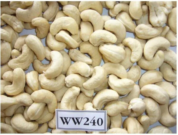 Dried Cashew Nuts Ww180 210 240 320 450 For Sale/ Buy Premium Quality Cashew Nuts In Bulk - Image 3