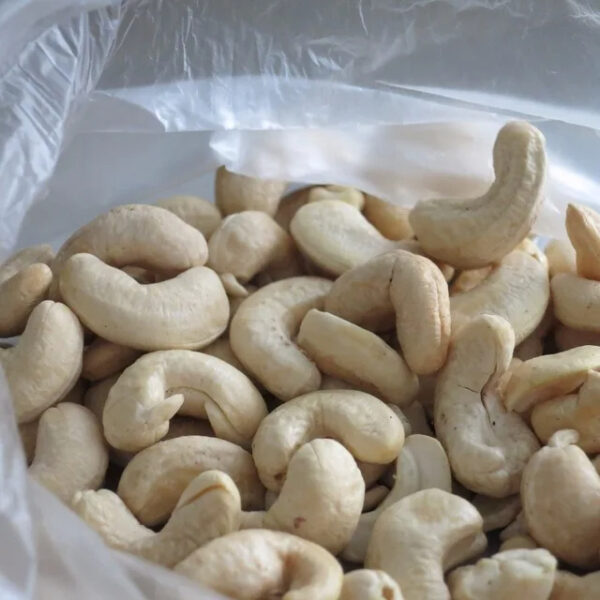 Kaju White color Vietnam cashew nut W240 - W320 - W450 - Image 3